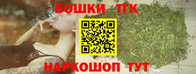 ECSTASY Новозыбков
