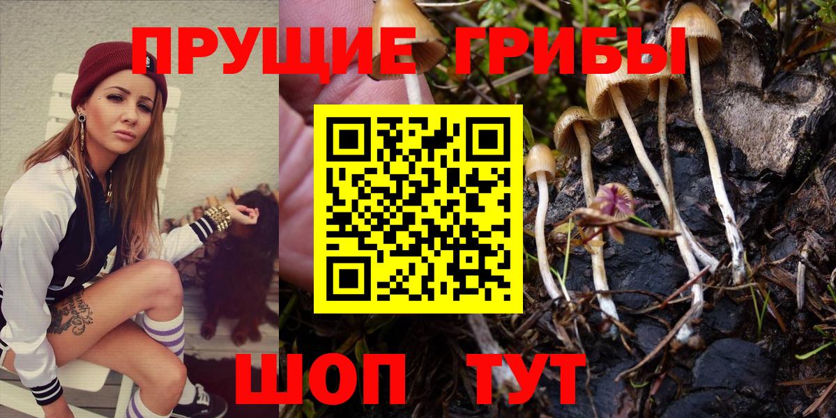 Псилоцибиновые грибы ЛСД Славянск-на-Кубани