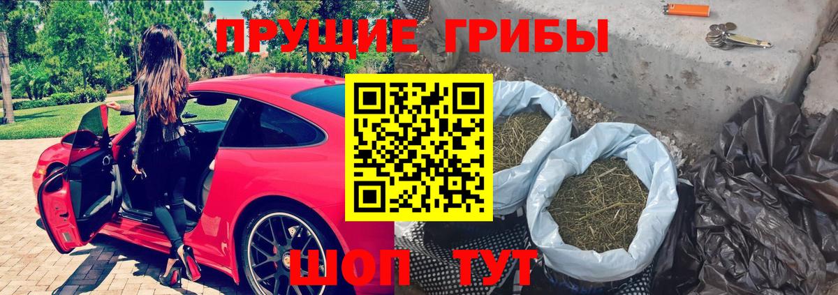 Славянск-на-Кубани  Псилоцибиновые грибы GOLDEN TEACHER  Вход с VPN 